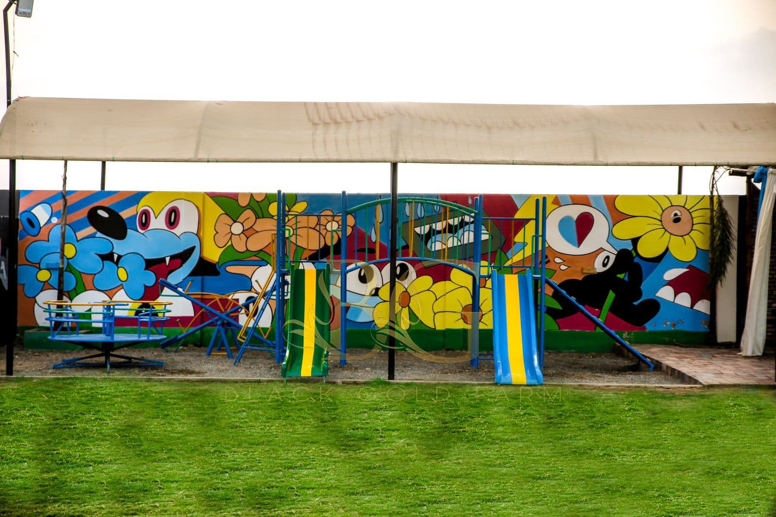 Kids Play Area