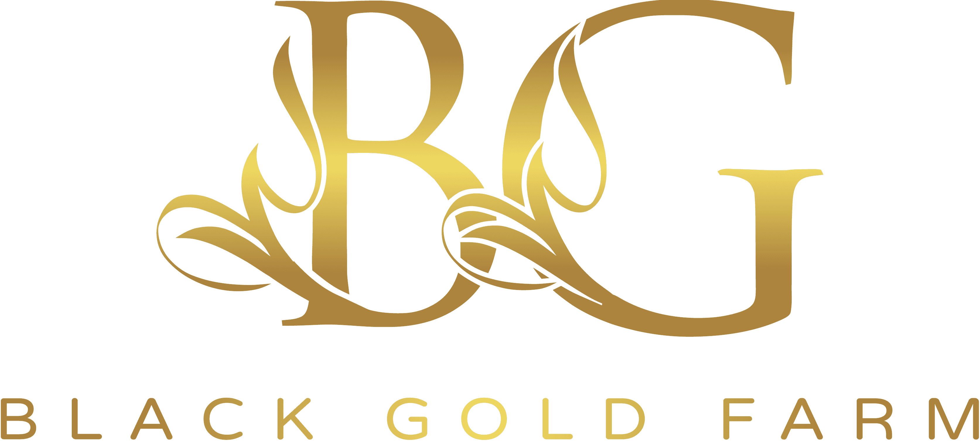 Black Gold Farmhouse